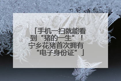 手机一扫就能看到“猪的一生”！宁乡花猪首次拥有“电子身份证”
