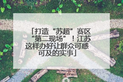 打造“苏超”赛区“第二现场”！江苏这样办好让群众可感可及的实事