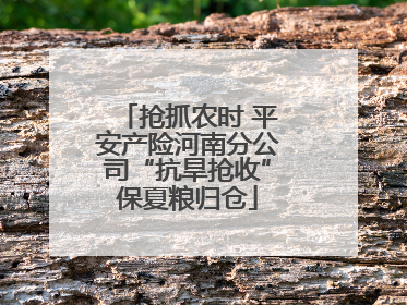 抢抓农时 平安产险河南分公司“抗旱抢收”保夏粮归仓