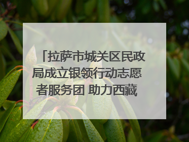 拉萨市城关区民政局成立银领行动志愿者服务团 助力西藏银发经济发展