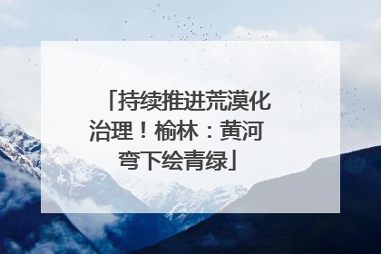 持续推进荒漠化治理！榆林：黄河弯下绘青绿