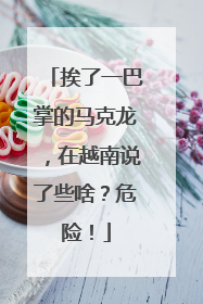 挨了一巴掌的马克龙，在越南说了些啥？危险！