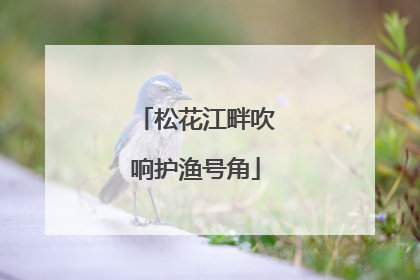 松花江畔吹响护渔号角
