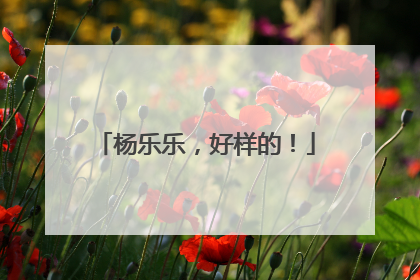 杨乐乐，好样的！
