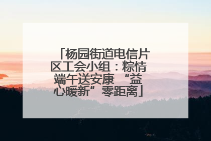杨园街道电信片区工会小组：粽情端午送安康 “益心暖新”零距离