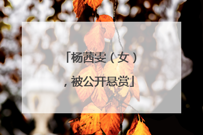 杨茜雯（女），被公开悬赏