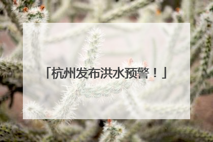 杭州发布洪水预警！