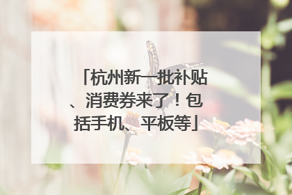 杭州新一批补贴、消费券来了！包括手机、平板等
