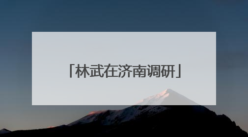 林武在济南调研