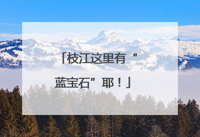 枝江这里有“蓝宝石”耶！