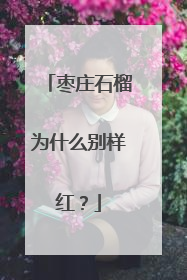 枣庄石榴为什么别样红？