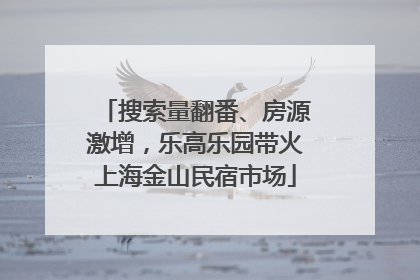 搜索量翻番、房源激增，乐高乐园带火上海金山民宿市场