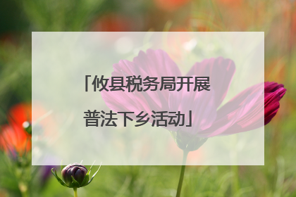 攸县税务局开展普法下乡活动