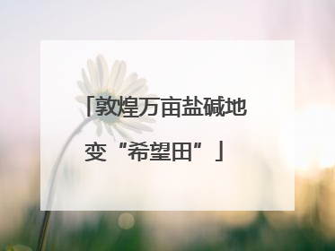 敦煌万亩盐碱地变“希望田”