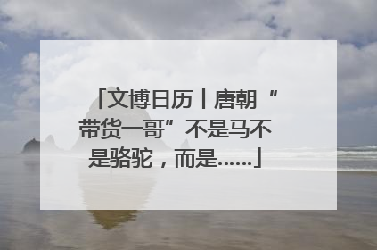 文博日历丨唐朝“带货一哥”不是马不是骆驼，而是……