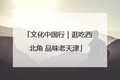 文化中国行｜逛吃西北角 品味老天津