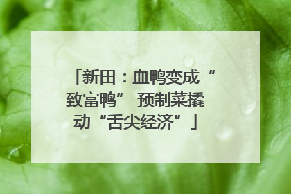 新田：血鸭变成“致富鸭” 预制菜撬动“舌尖经济”