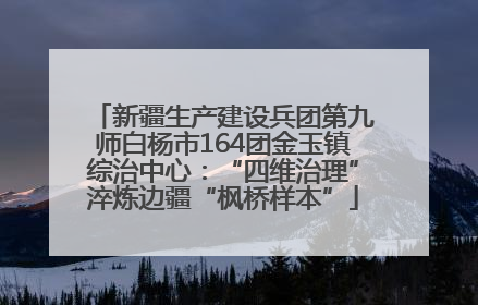 新疆生产建设兵团第九师白杨市164团金玉镇综治中心：“四维治理”淬炼边疆“枫桥样本”