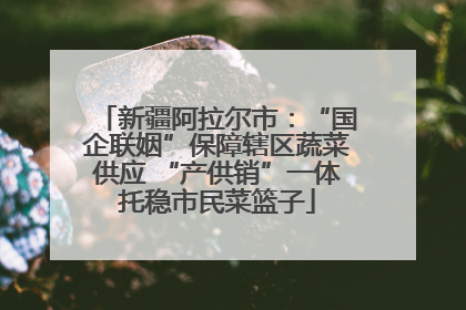 新疆阿拉尔市：“国企联姻”保障辖区蔬菜供应 “产供销”一体托稳市民菜篮子