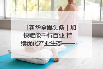 新华全媒头条｜加快赋能千行百业 持续优化产业生态——浙江推动人工智能健康有序发展观察