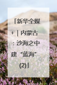 新华全媒+｜内蒙古：沙海之中建“蓝海”(2)
