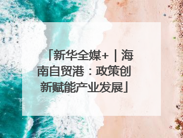新华全媒+｜海南自贸港：政策创新赋能产业发展