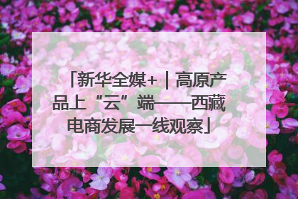 新华全媒+｜高原产品上“云”端——西藏电商发展一线观察