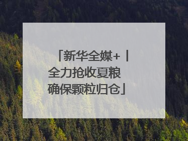 新华全媒+丨全力抢收夏粮 确保颗粒归仓