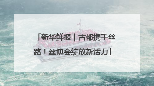 新华鲜报｜古都携手丝路！丝博会绽放新活力