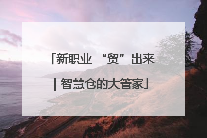 新职业 “贸”出来｜智慧仓的大管家