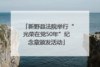 新野县法院举行“光荣在党50年”纪念章颁发活动