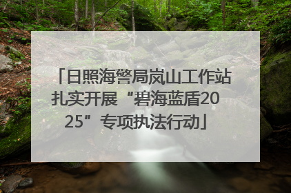 日照海警局岚山工作站扎实开展“碧海蓝盾2025”专项执法行动