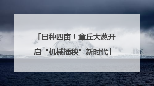 日种四亩！章丘大葱开启“机械插秧”新时代