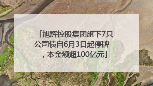 旭辉控股集团旗下7只公司债自6月3日起停牌，本金额超100亿元