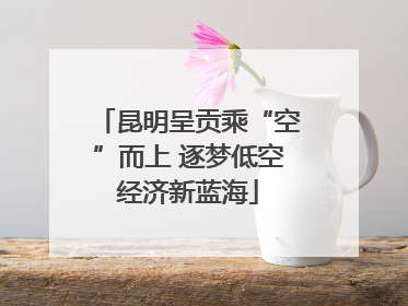 昆明呈贡乘“空”而上 逐梦低空经济新蓝海