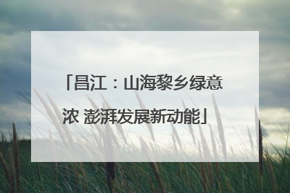 昌江：山海黎乡绿意浓 澎湃发展新动能