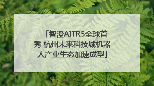 智澄AITR5全球首秀 杭州未来科技城机器人产业生态加速成型
