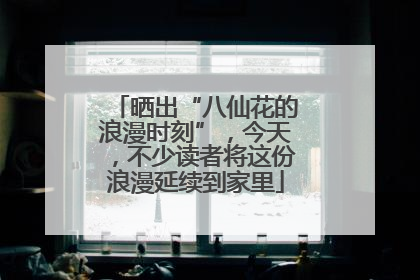 晒出“八仙花的浪漫时刻”，今天，不少读者将这份浪漫延续到家里