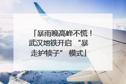 暴雨晚高峰不慌！武汉地铁开启 “暴走护犊子” 模式