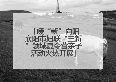 暖“新”向阳 襄阳市妇联“三新”领域夏令营亲子活动火热开展