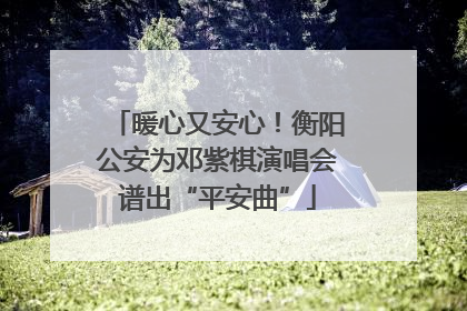 暖心又安心！衡阳公安为邓紫棋演唱会谱出“平安曲”