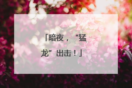 暗夜，“猛龙”出击！