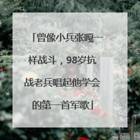 曾像小兵张嘎一样战斗，98岁抗战老兵唱起他学会的第一首军歌