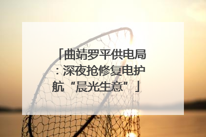 曲靖罗平供电局：深夜抢修复电护航“晨光生意”