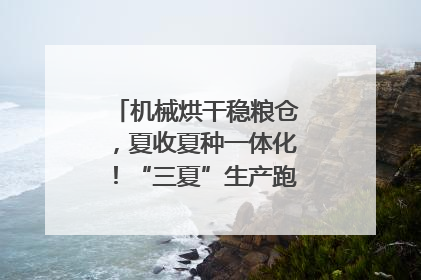 机械烘干稳粮仓，夏收夏种一体化！“三夏”生产跑出加速度｜麦报