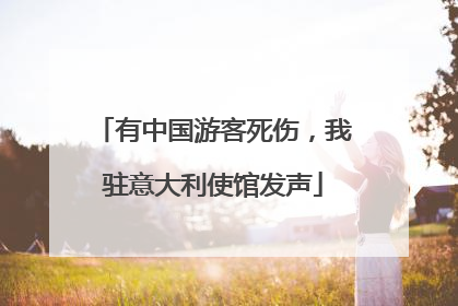有中国游客死伤，我驻意大利使馆发声
