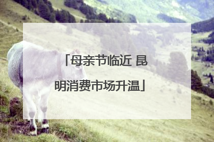 母亲节临近 昆明消费市场升温