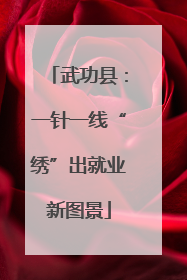 武功县：一针一线“绣”出就业新图景