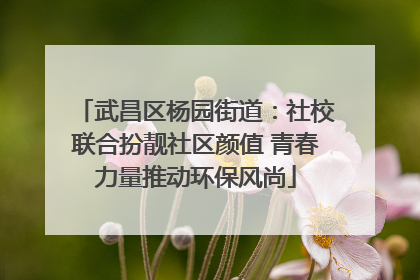 武昌区杨园街道：社校联合扮靓社区颜值 青春力量推动环保风尚