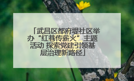 武昌区都府堤社区举办“红巷传薪火”主题活动 探索党建引领基层治理新路径